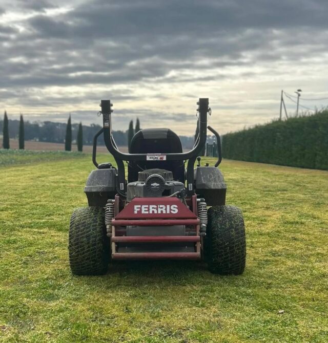 6 https://verdnet.es/wp-content/uploads/2026/01/6-640x670.jpeg